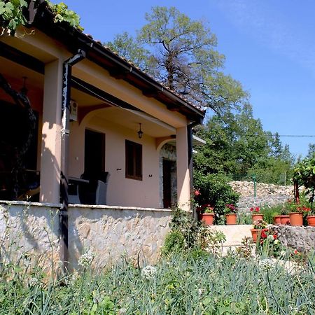 Holiday Home Gazevic Virpazar Exterior foto